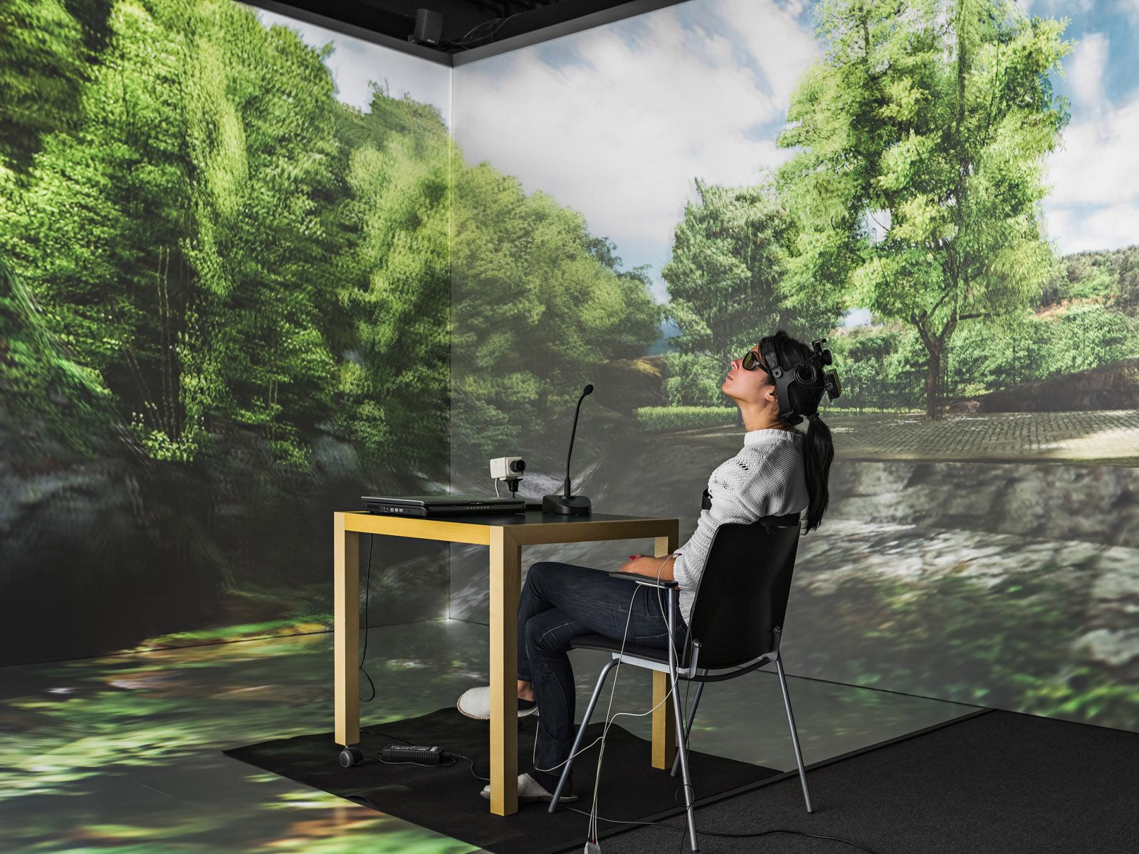 Madelaine in a Study of Stress Reduction in Virtual Reality, Bosch Lab, Swedish University of Agricultural Sciences, Sweden 2015