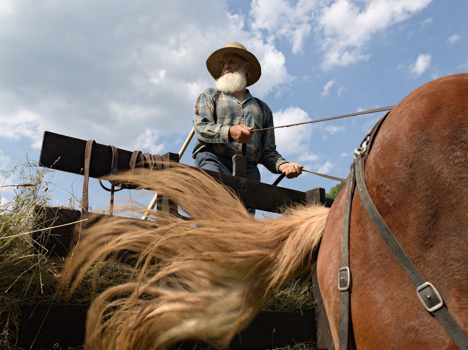 Mason Harvesting Hay, Kentucky 2008