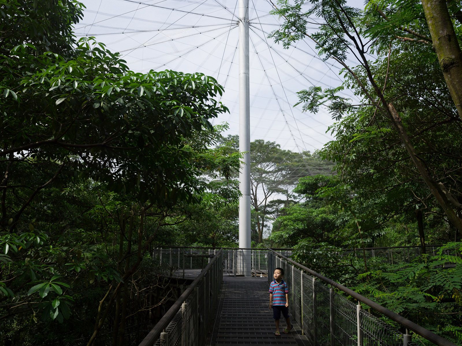 Xing in an Aviary, Jurong Bird Park, Singapore 2014