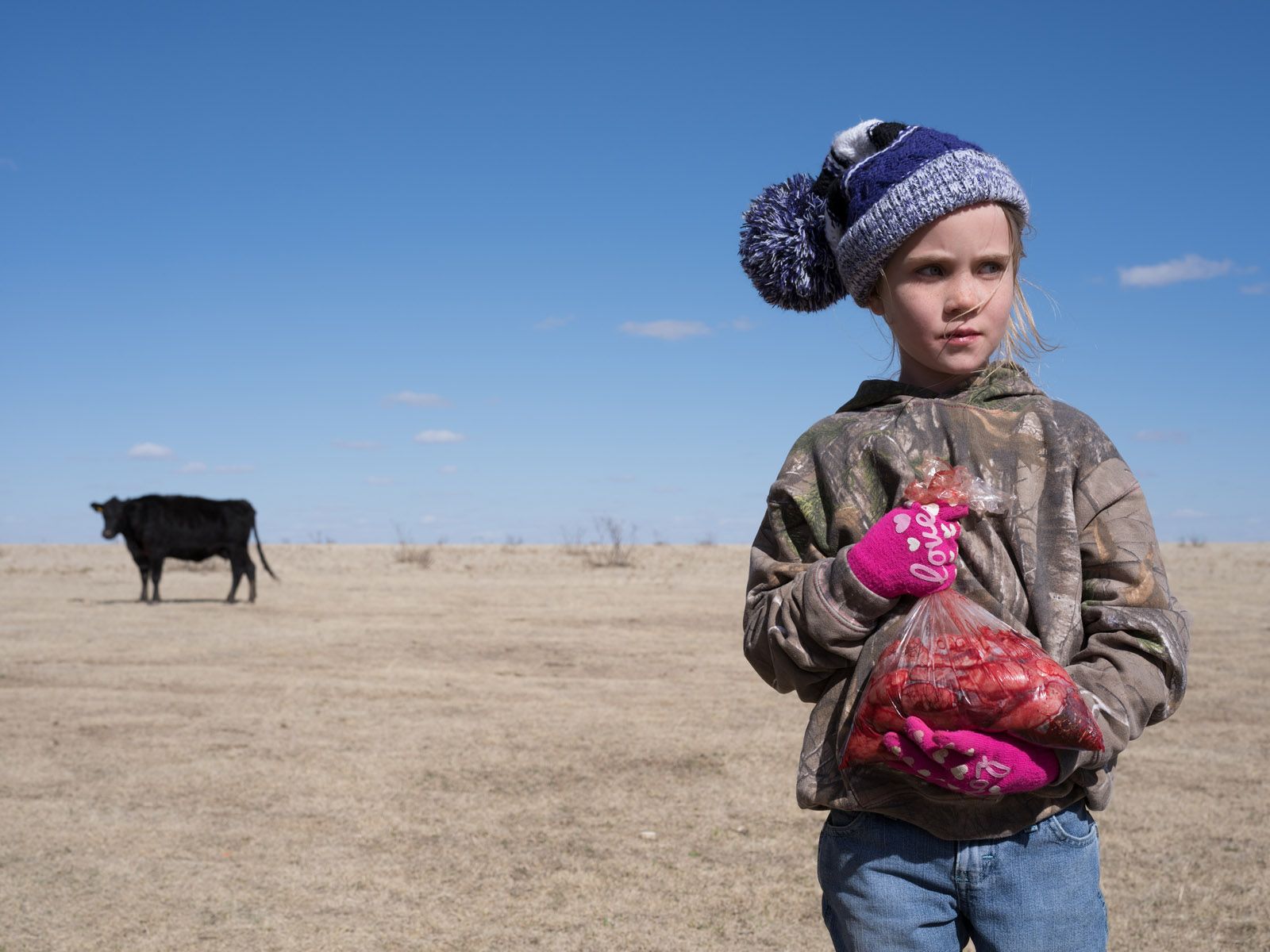 Kinley Holding a Bag of Bull Testicles during a Branding, Texas 2019