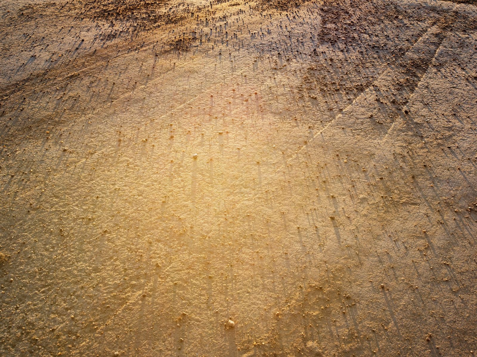 Gas Station Gravel, Eden, Wyoming 2009