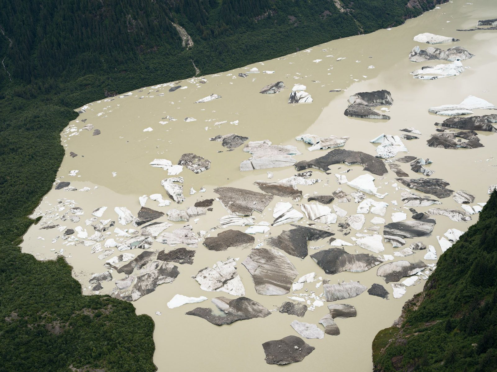 Icebergs from the Gilkey Glacier, Alaska 2016