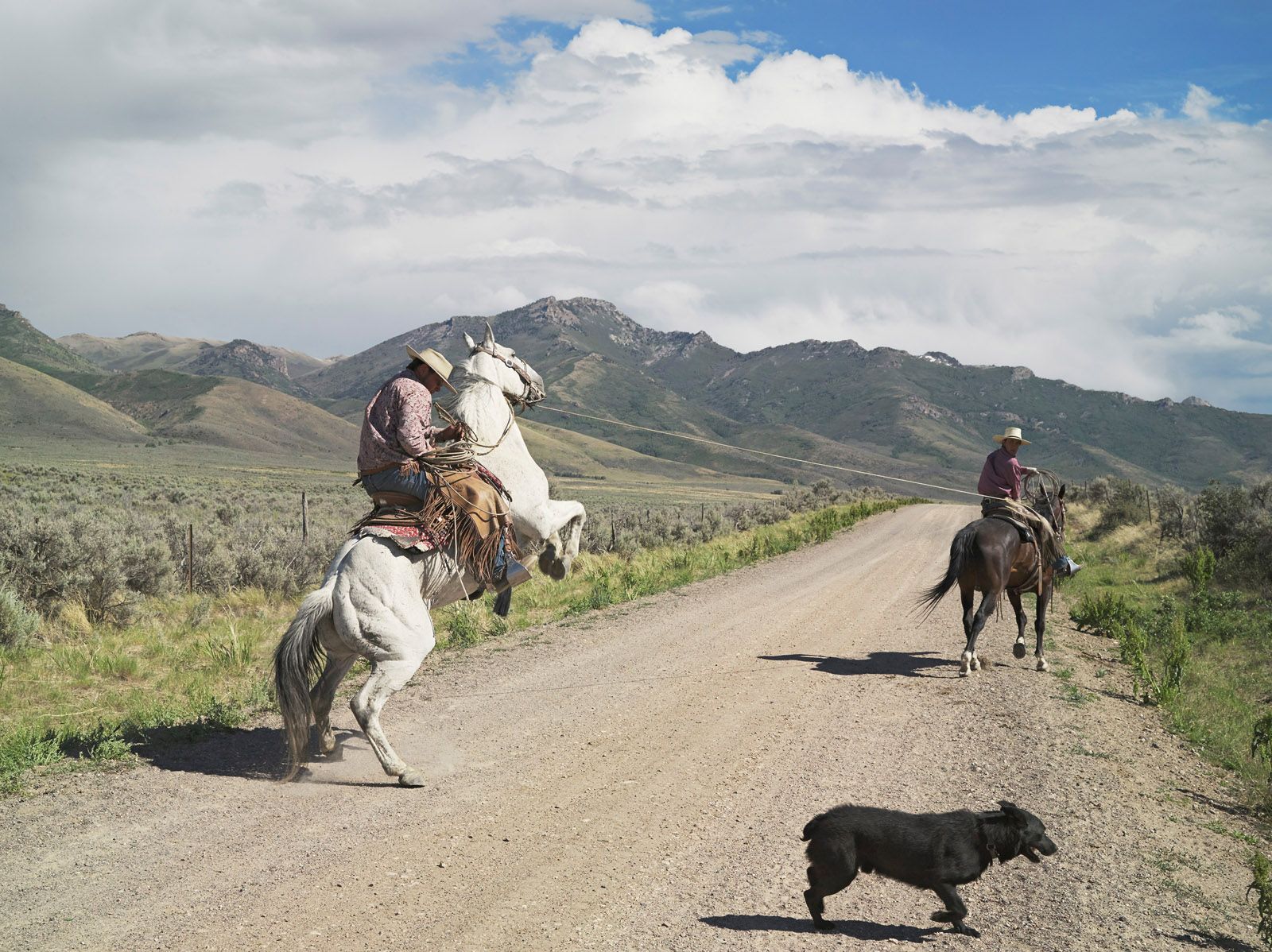 Casey and Rowdy Horse Training, 71 Ranch, Deeth, Nevada 2012