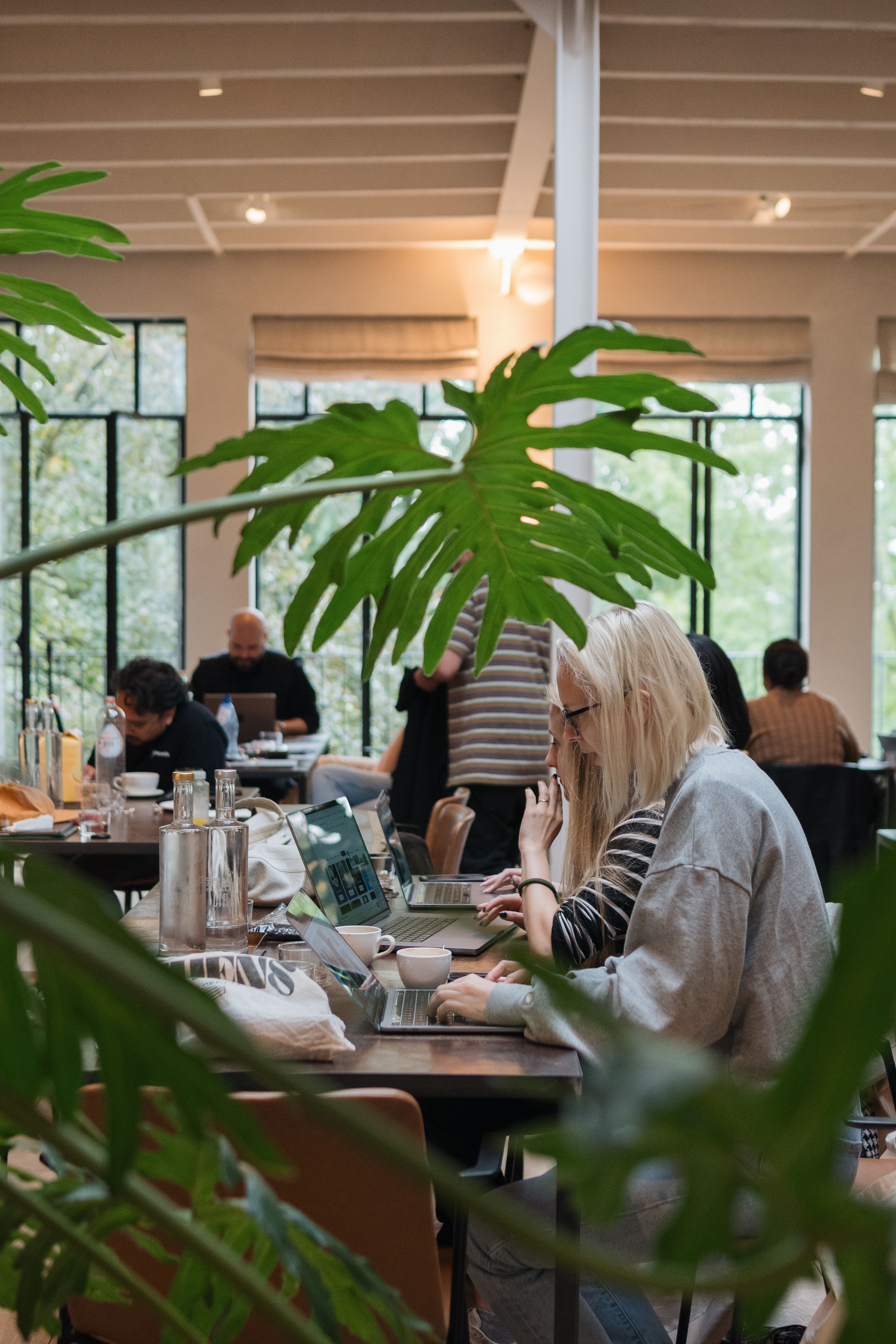 Two colleagues work remotely on laptops from a cafe.