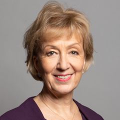 Andrea Leadsom image