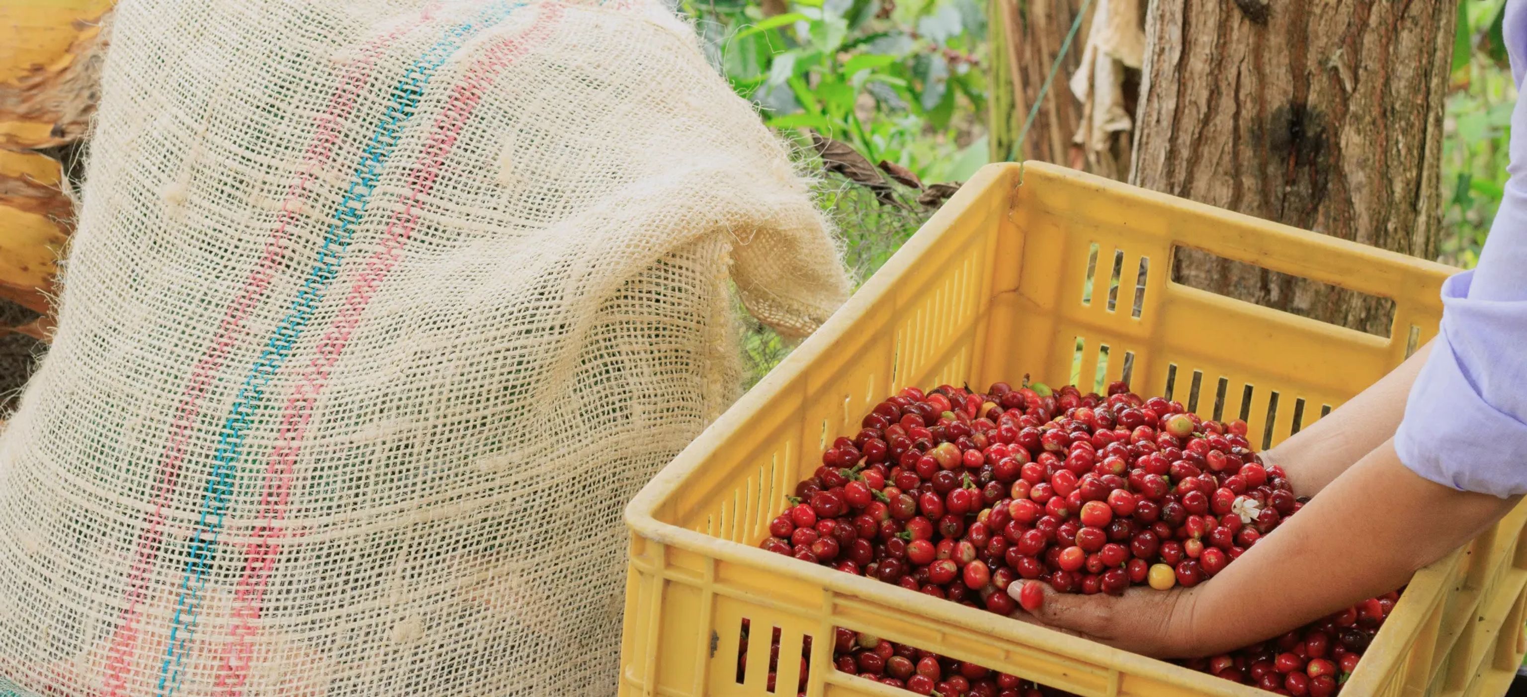 coin café entreprise