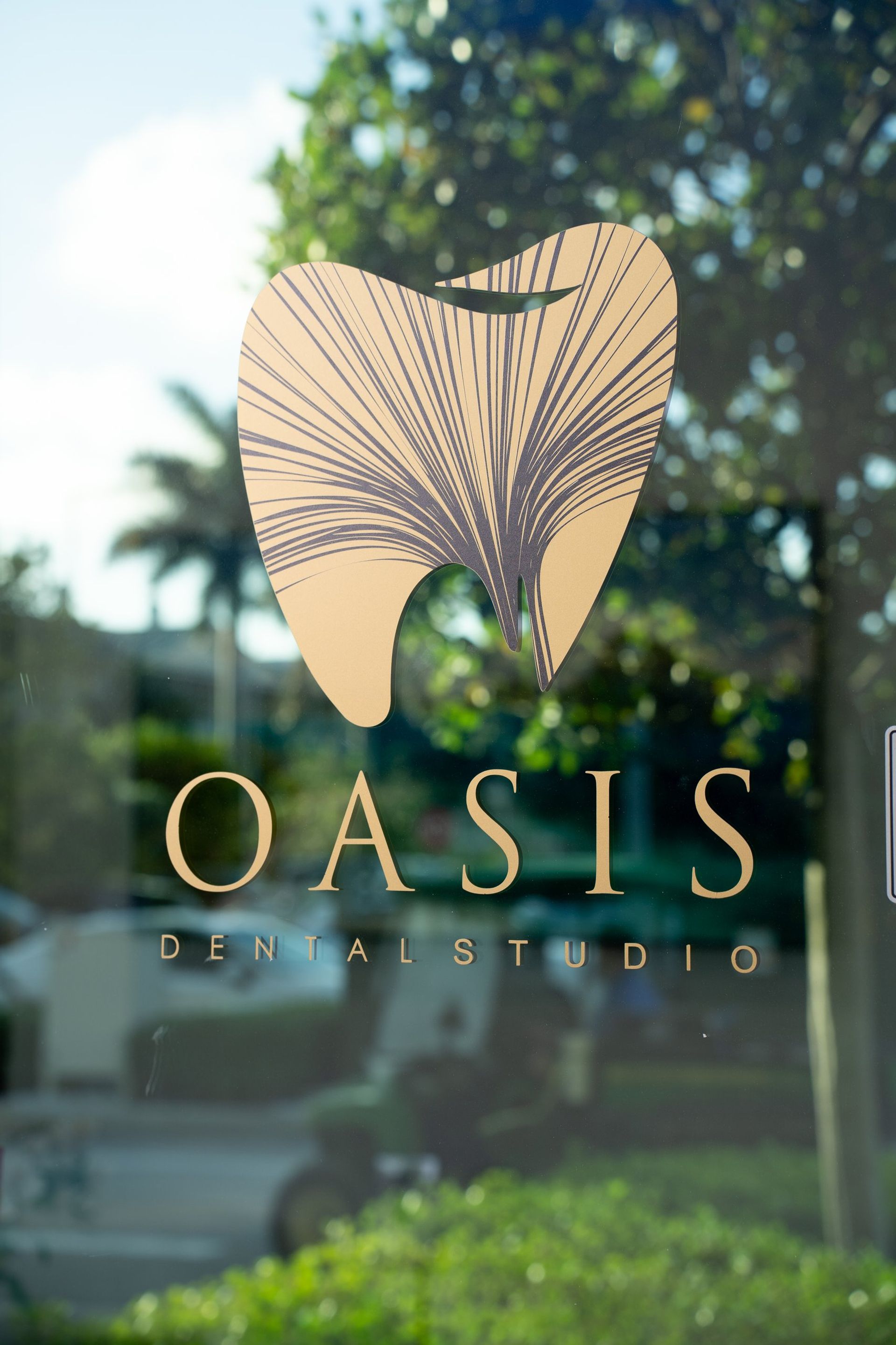 Oasis Hallandale — 20