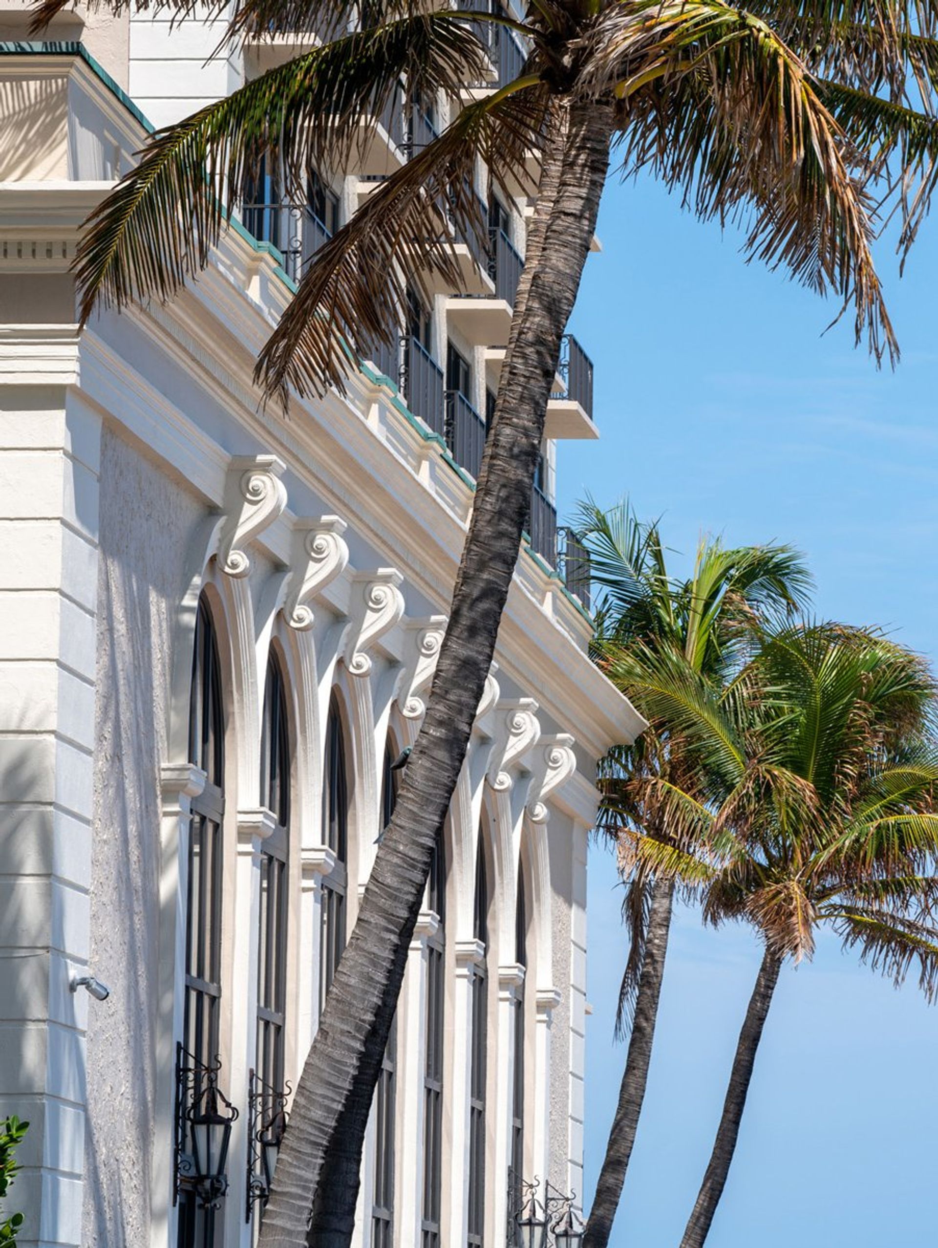 Ritz Carlton Palm Beach — 8