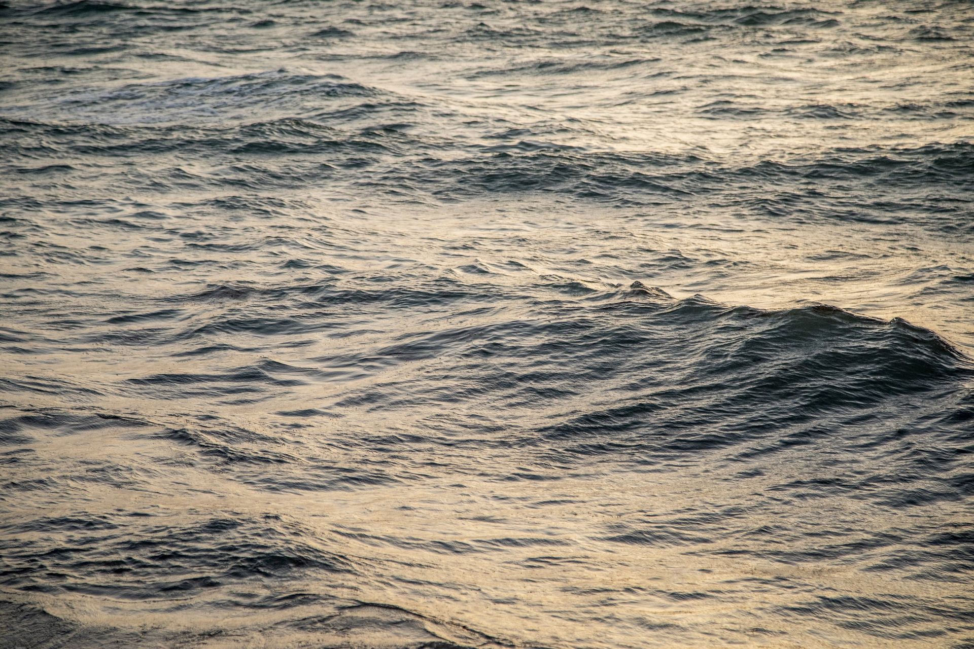 Surf Row Residences — 19