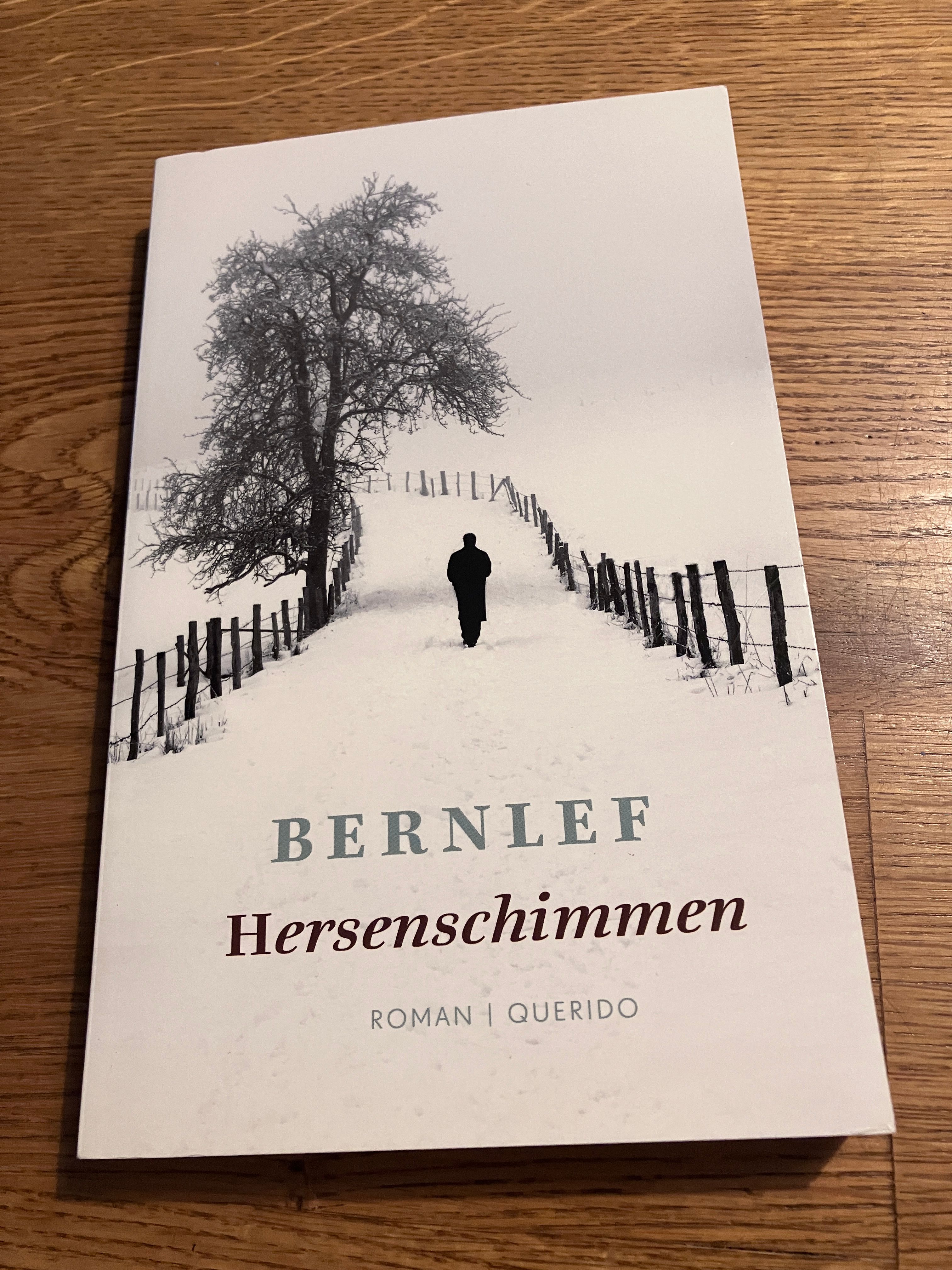 Hersenschimmen