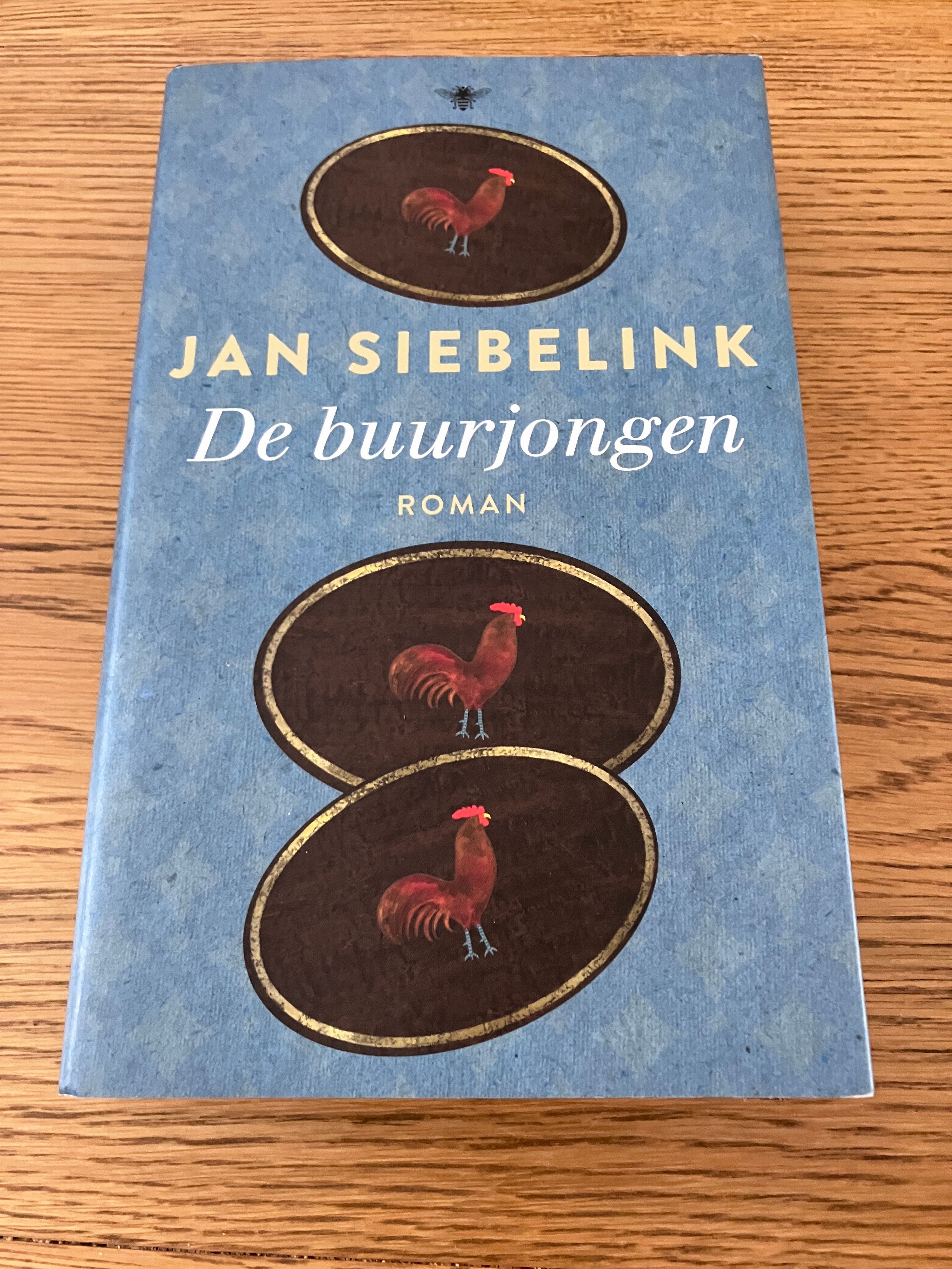 De buurjongen