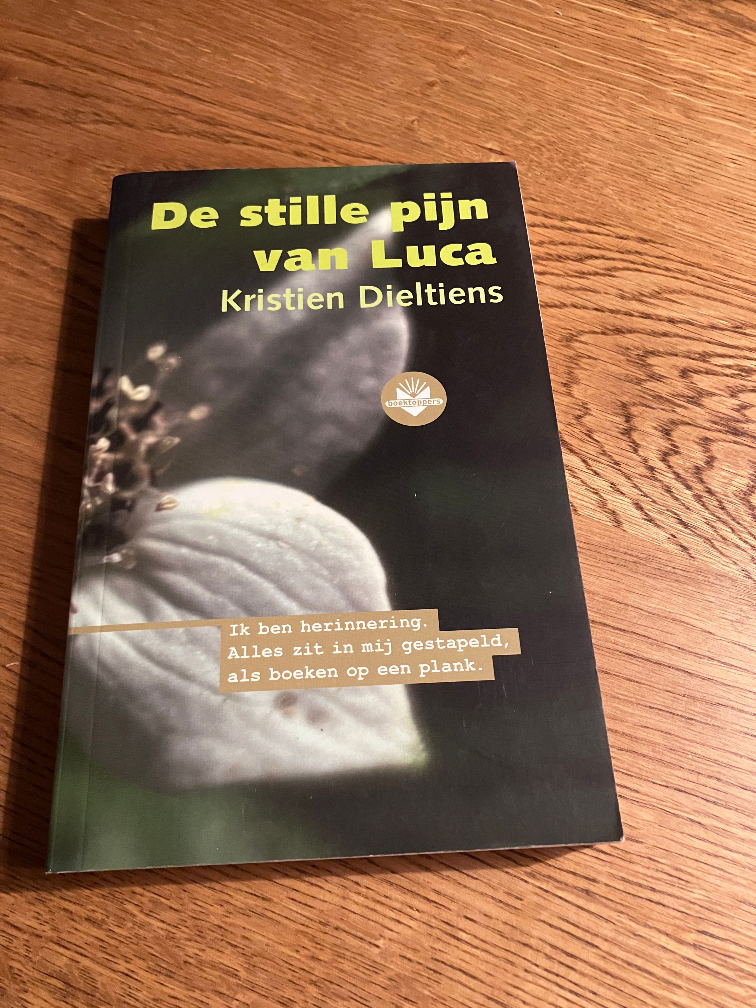 De stille pijn van Luca