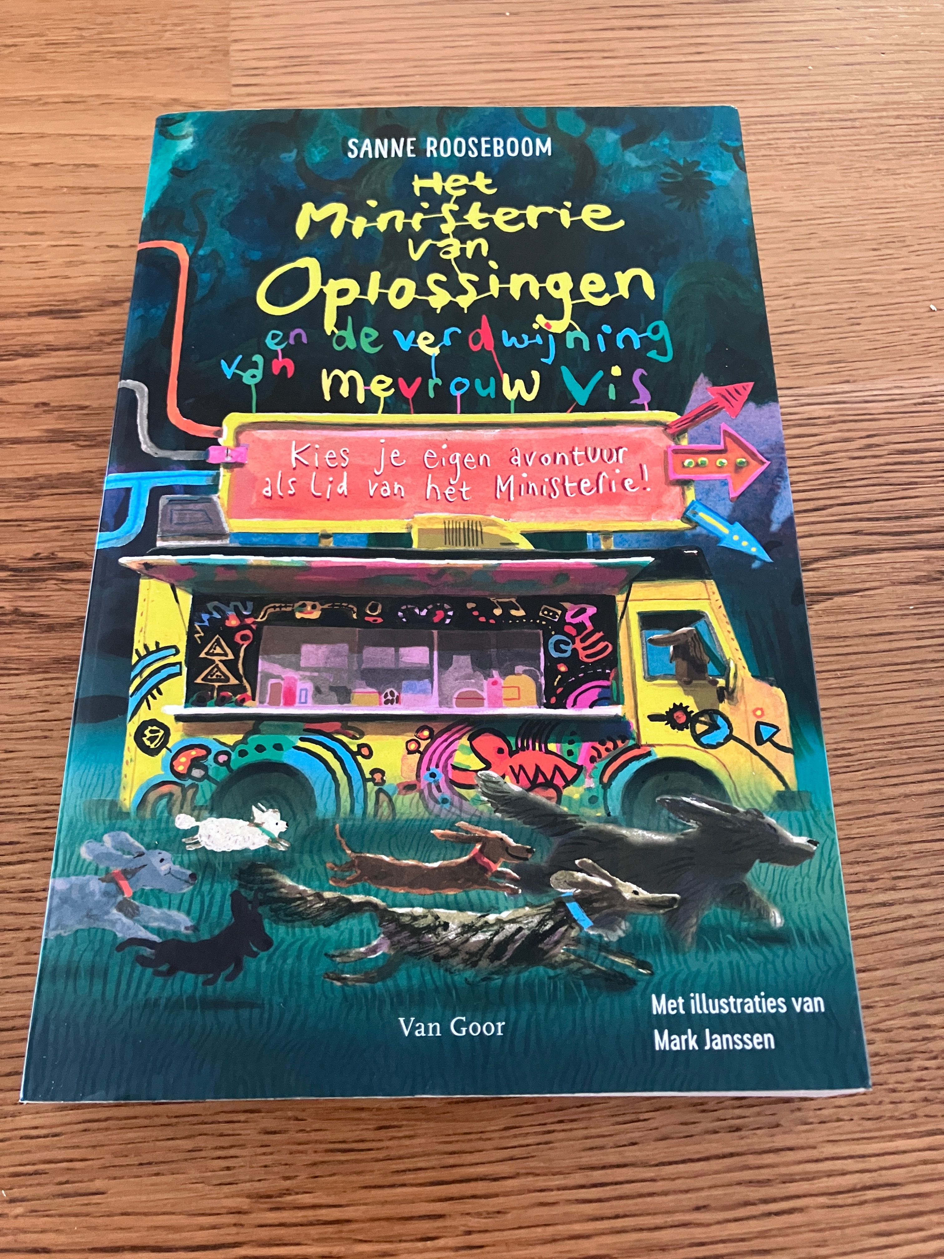 Het Ministerie van Oplossingen en de verdwijning van Mevrouw Vis