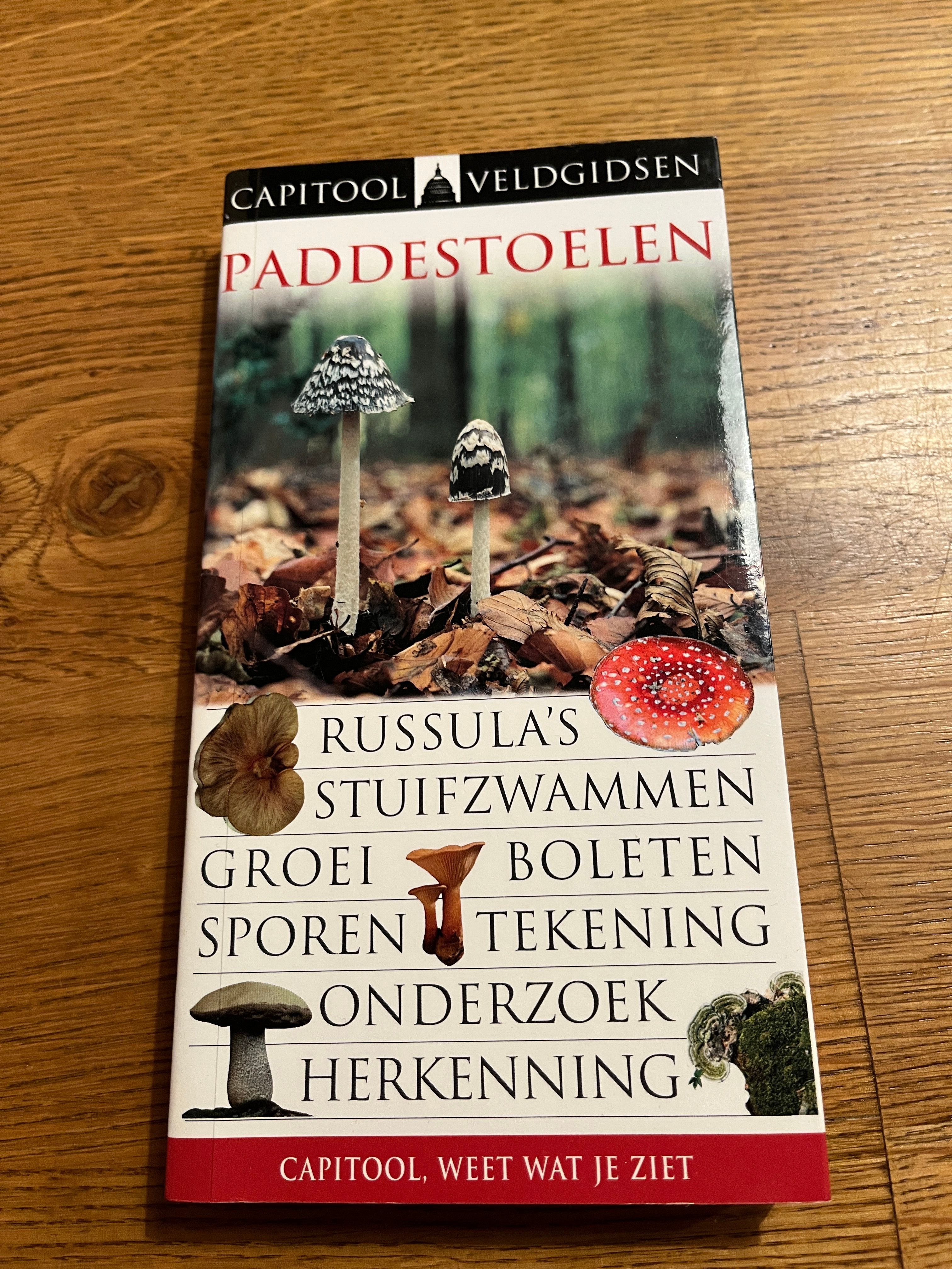Paddestoelen