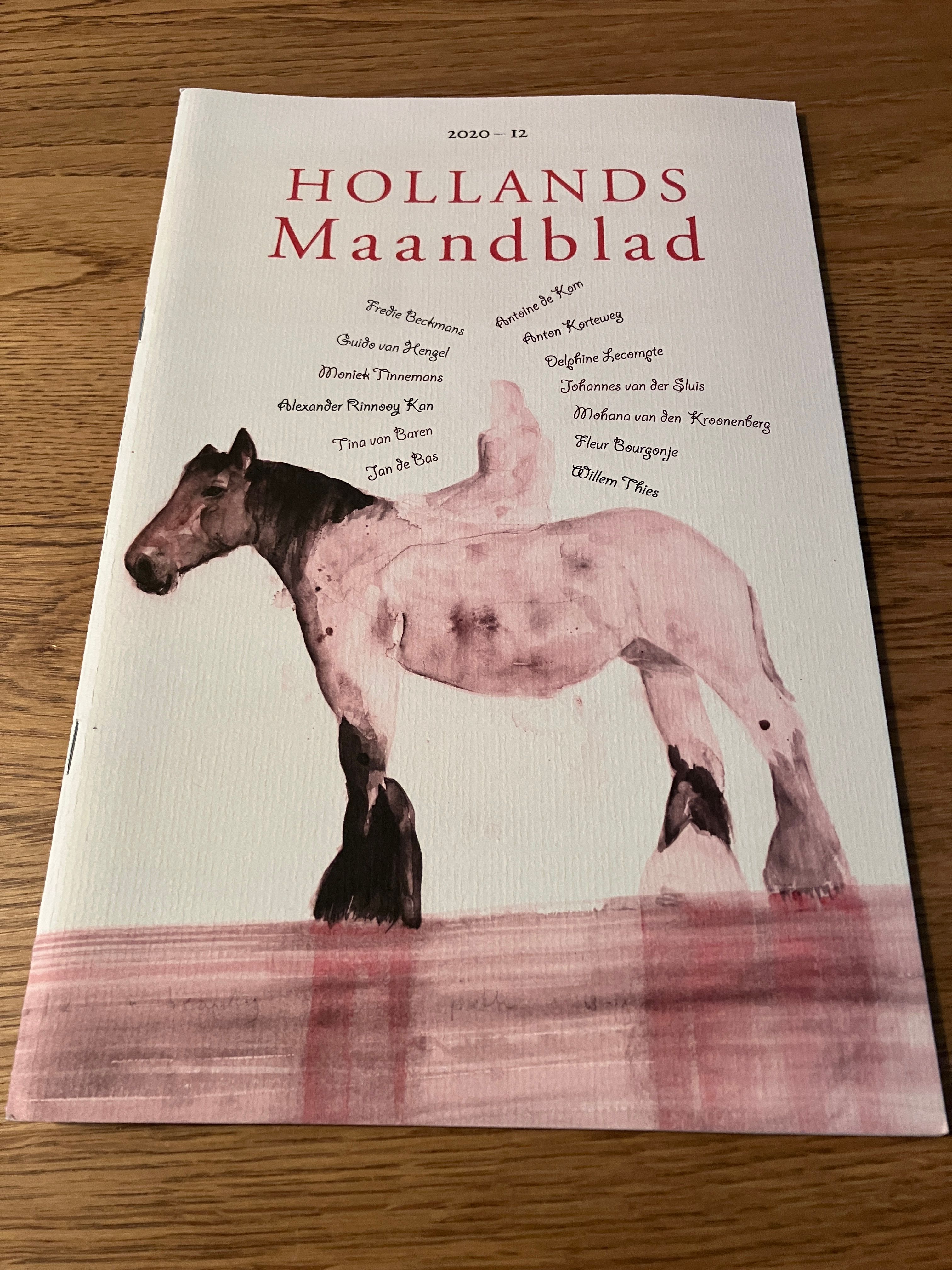 Hollands Maandblad 2020 - 11
