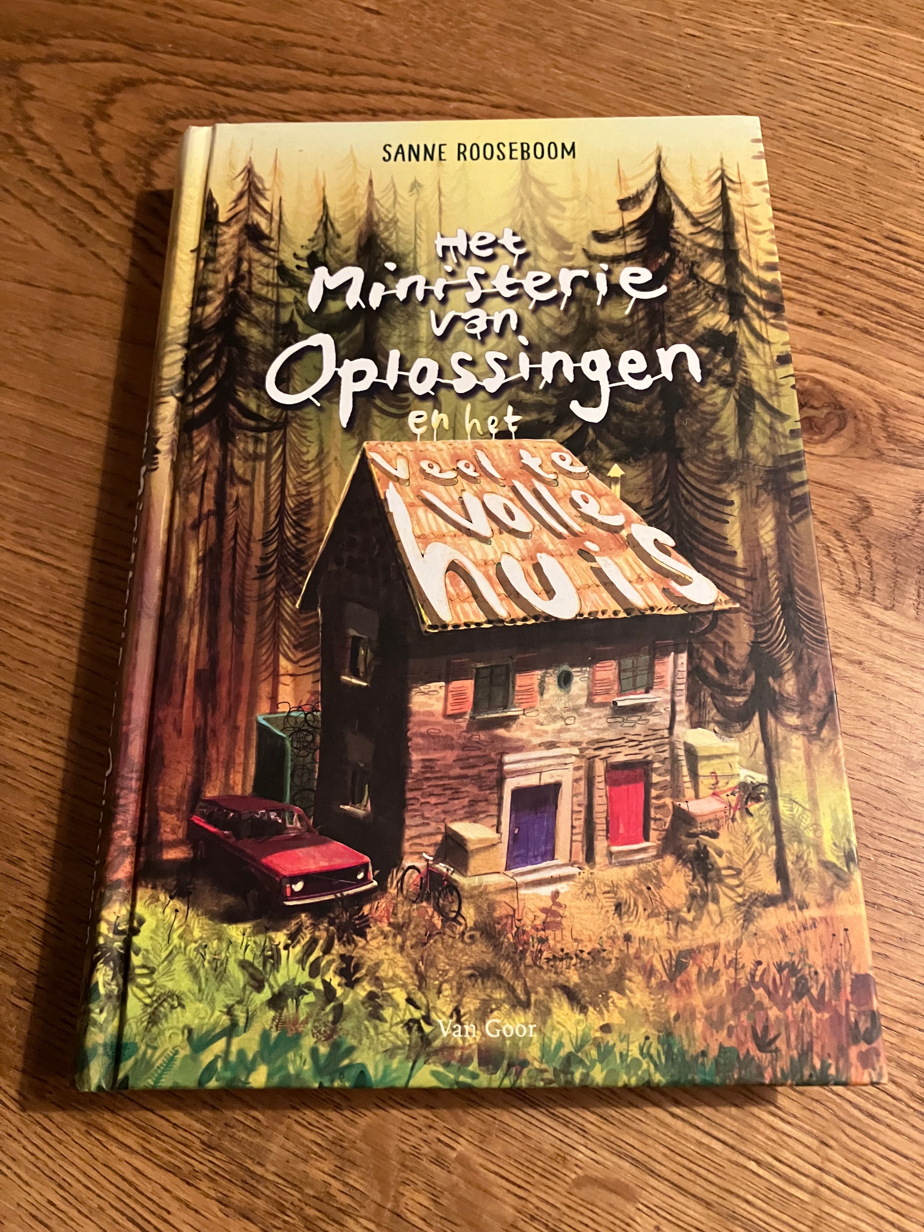 Het miniserie van Oplossingen en het veel te volle huis