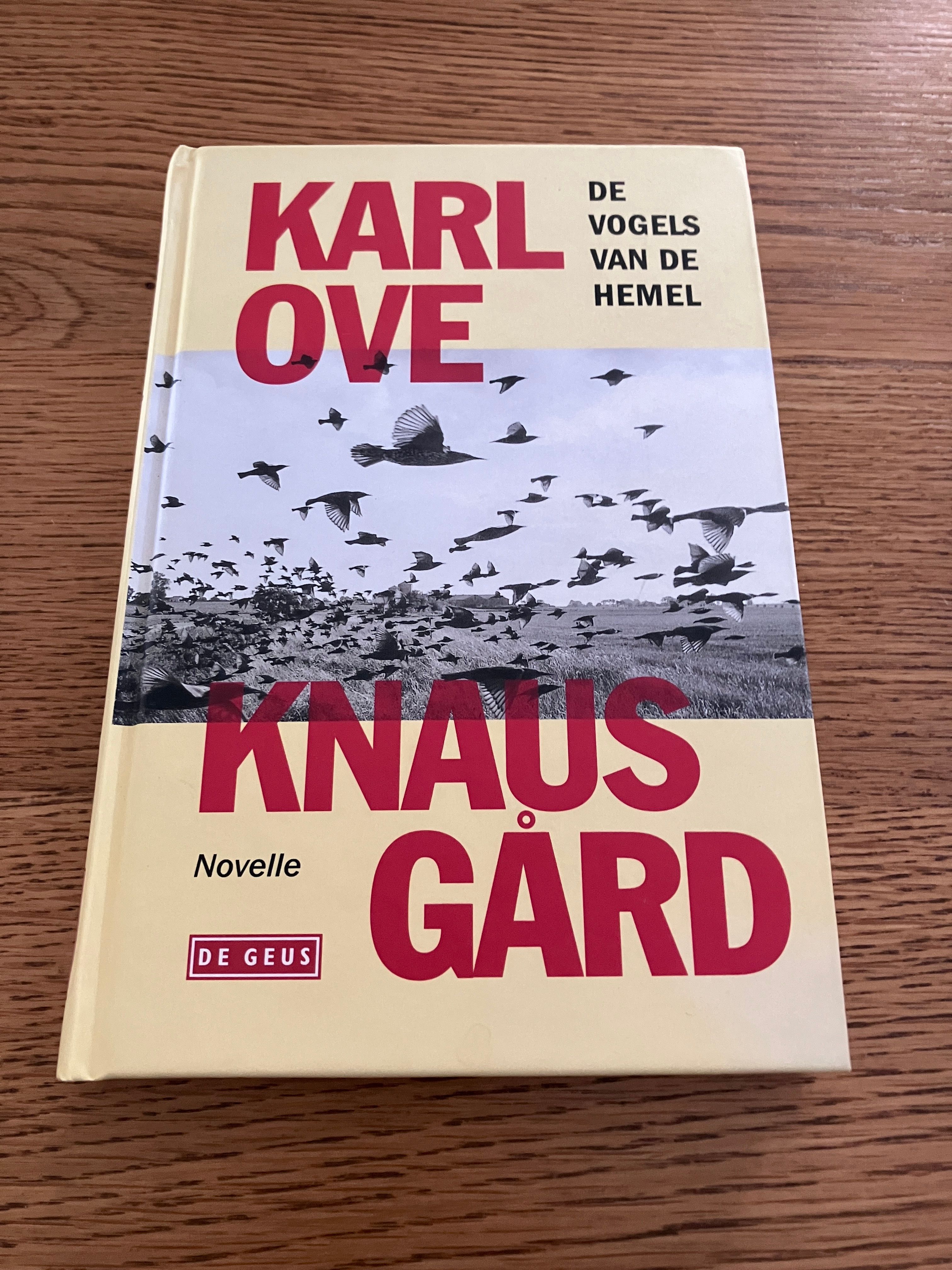 De vogels van de hemel