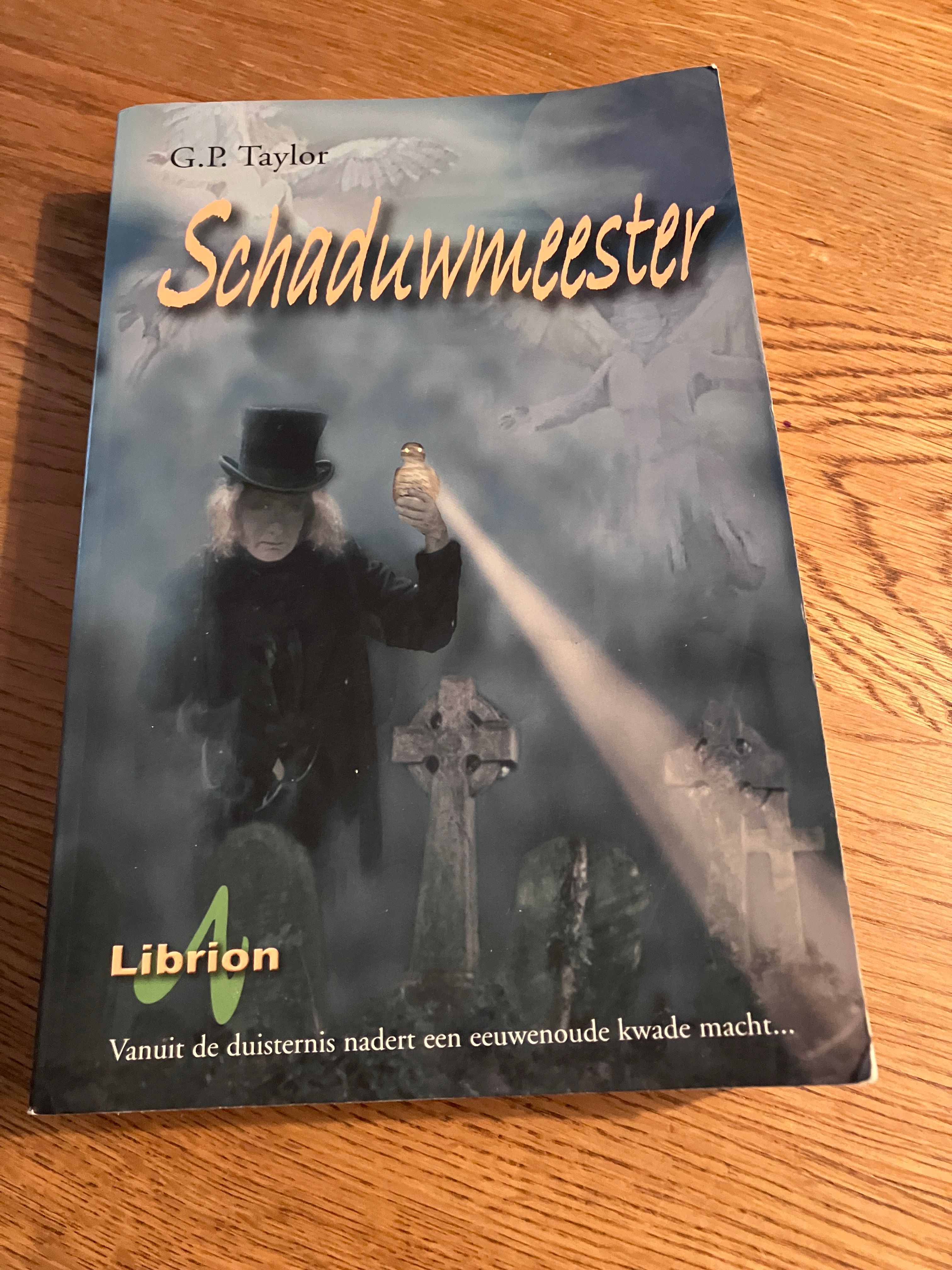 De schaduwmeester
