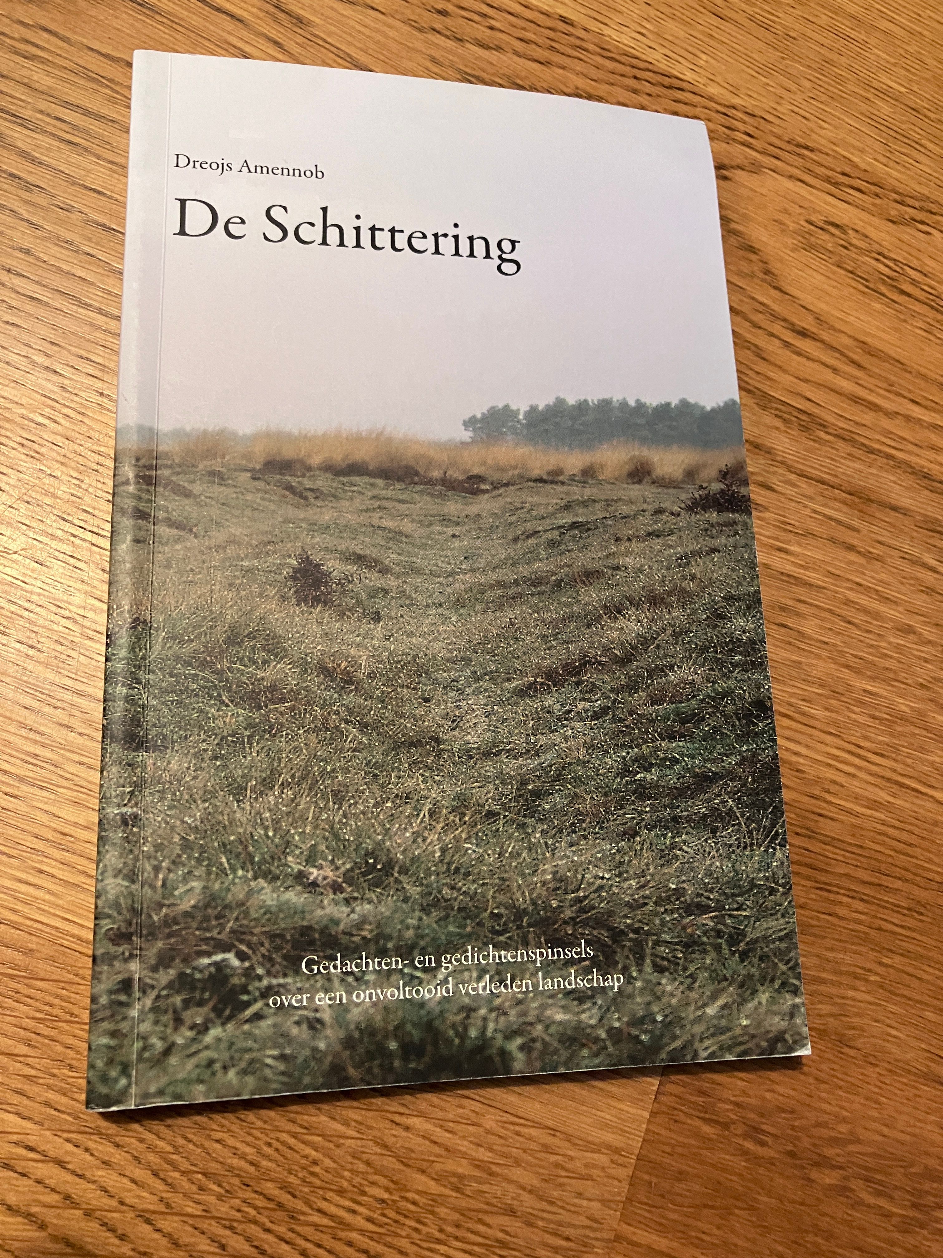 De Schittering / Gedachten- en gedichtenspinsels over een onvoltooid verleden landschap