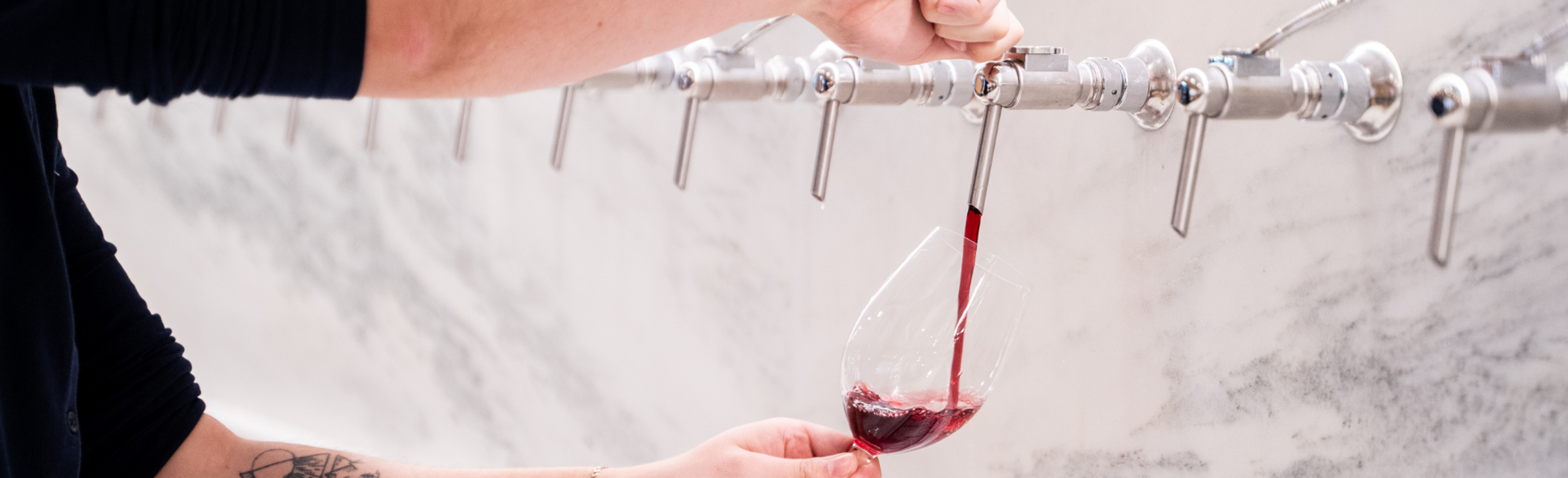 Sip Sustainabily