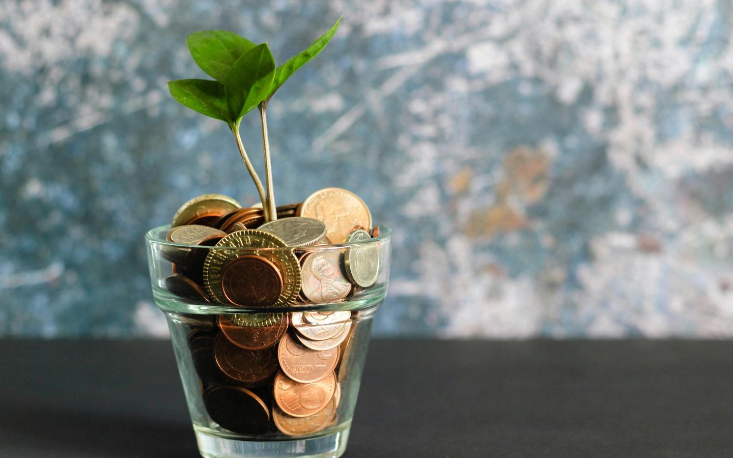 How much money do you need to start? Vantar.co.jpg