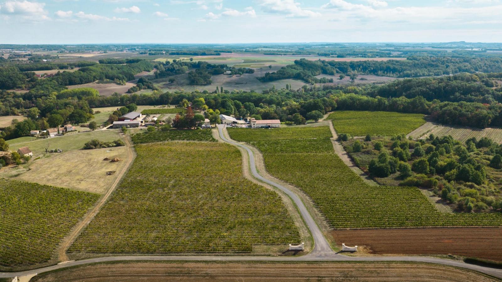Vignoble des Verdots from the air, the vines down to the estate
