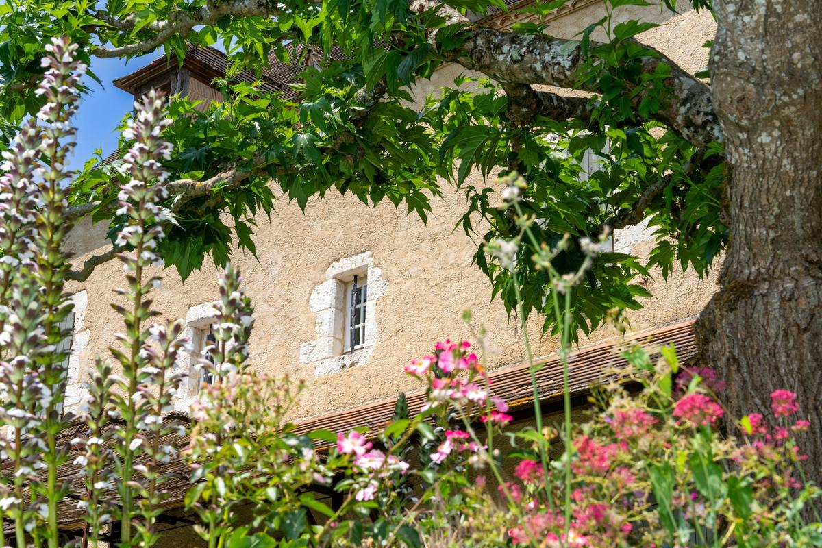 La maison vue du jardin, entre fleurs et feuillage