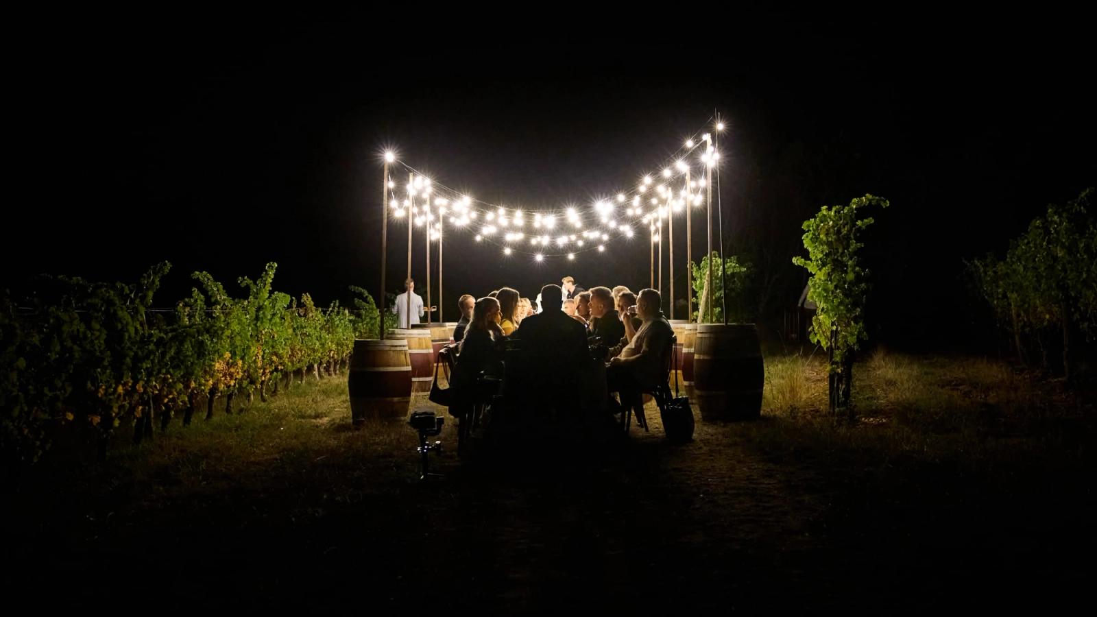 A long table under string lights in the vines