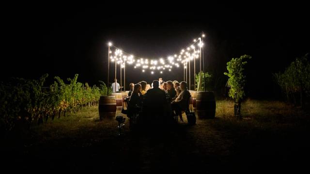 A long table under string lights in the vines