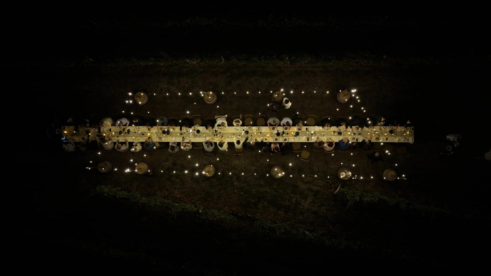The lit table in the vines at night, from above