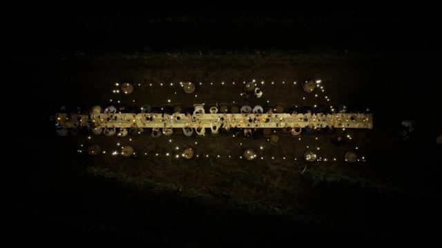 The lit table in the vines at night, from above