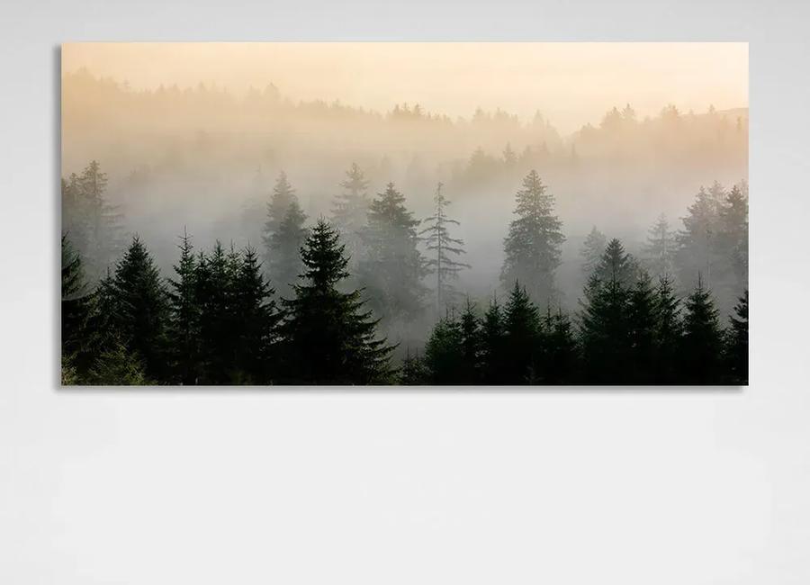 Emil Herzog Misty Spruce Forest