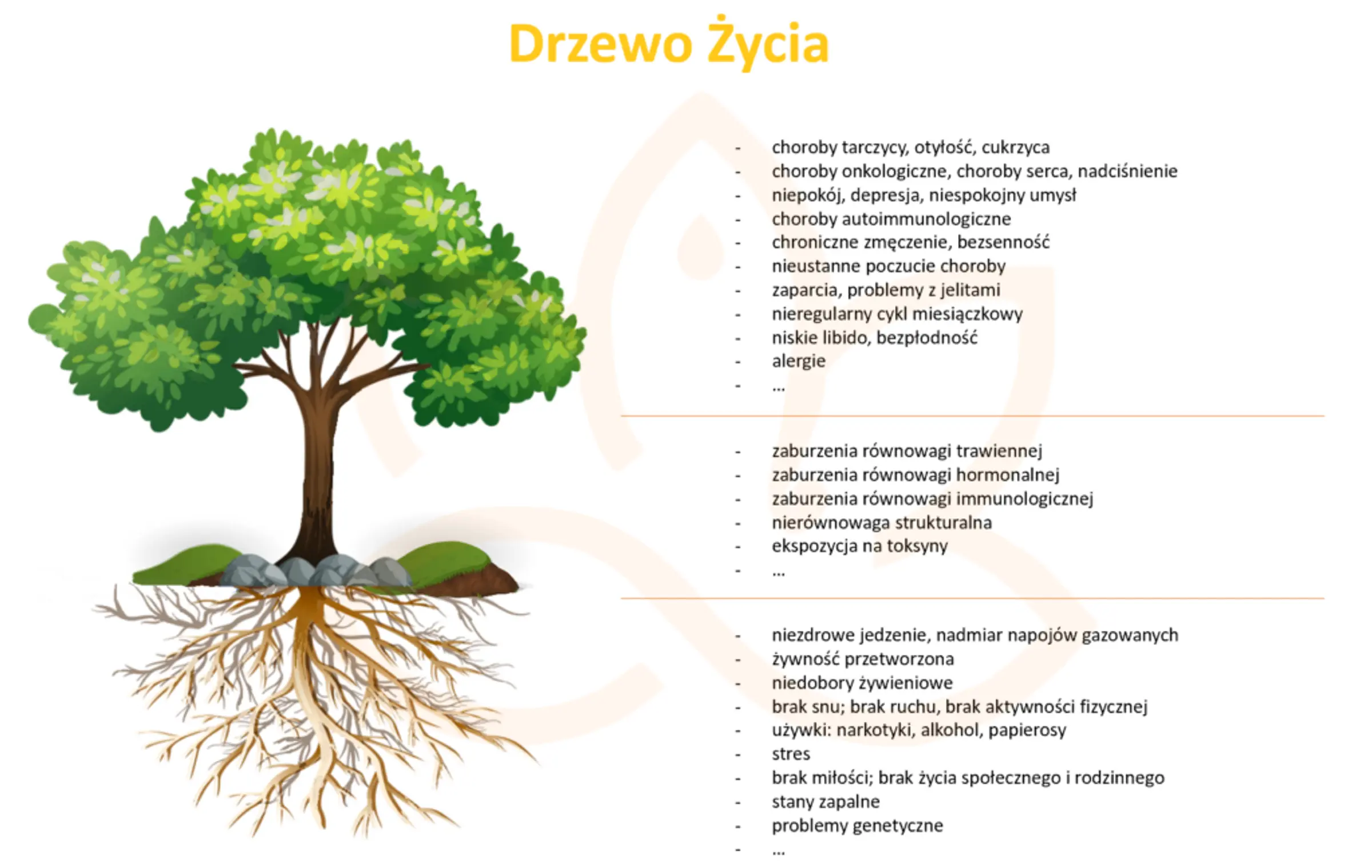 Drzewo powstawania chorób (Rogamarga)