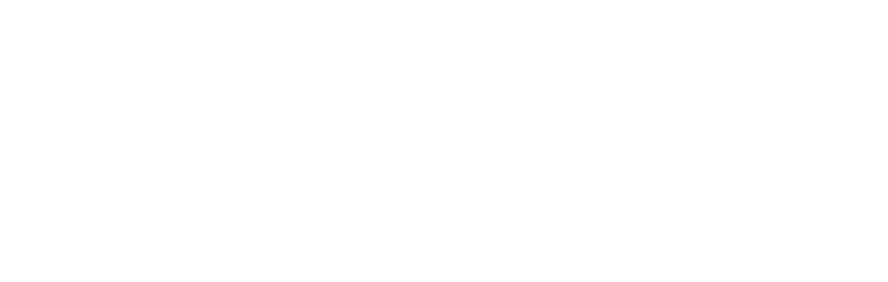 PayDiverse Company Logo