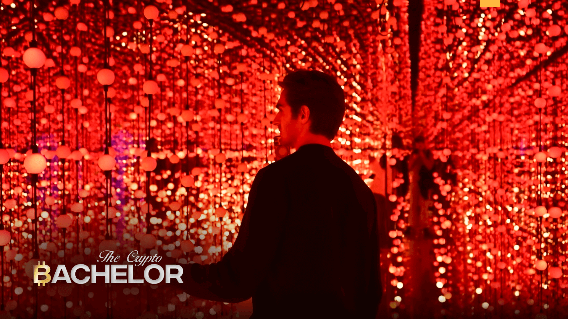 The Crypto Bachelor | Gala Film