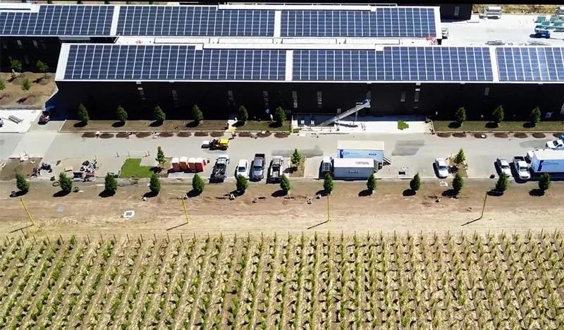 silver oak winery usa bim project