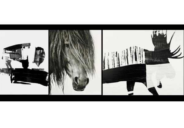 Kenneth Peloke: Battle Tested