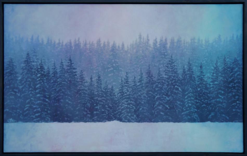 Bridgette Meinhold Fresh New Ideas