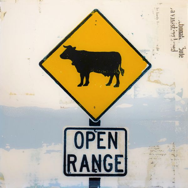 Open Range
