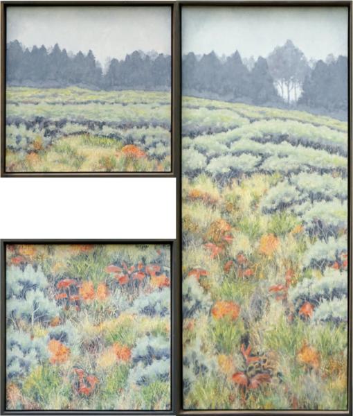 Let Me Drink the Day