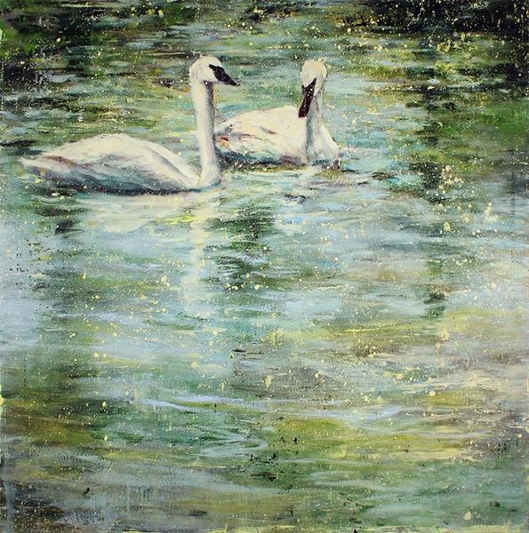 June Swans