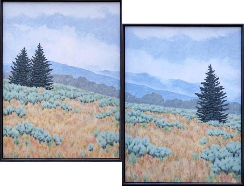 Signs for all to see