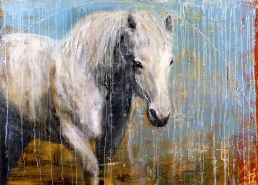 Horse and Rain