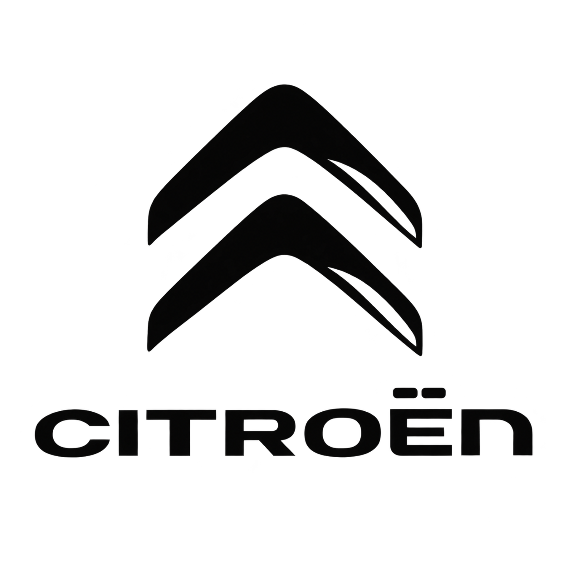 Logo cliente 41