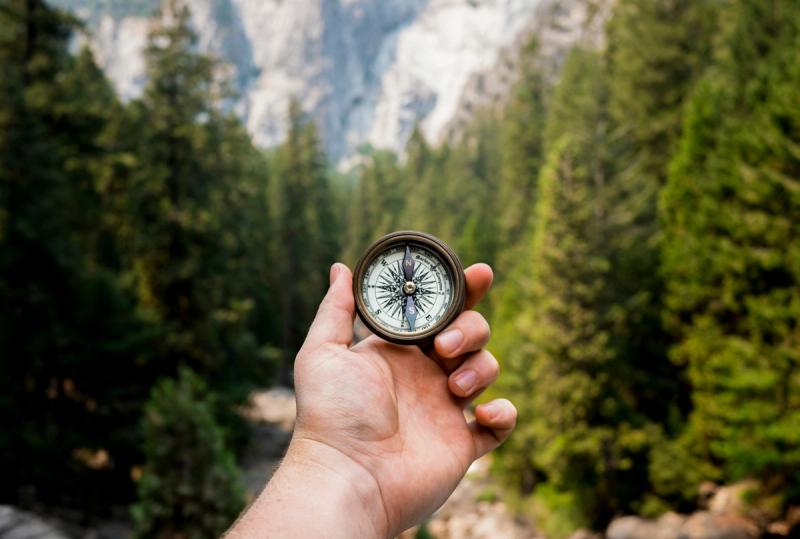 Illustrasjon av en hånd som holder et kompass i skogen, symboliserer veiledning og orientering