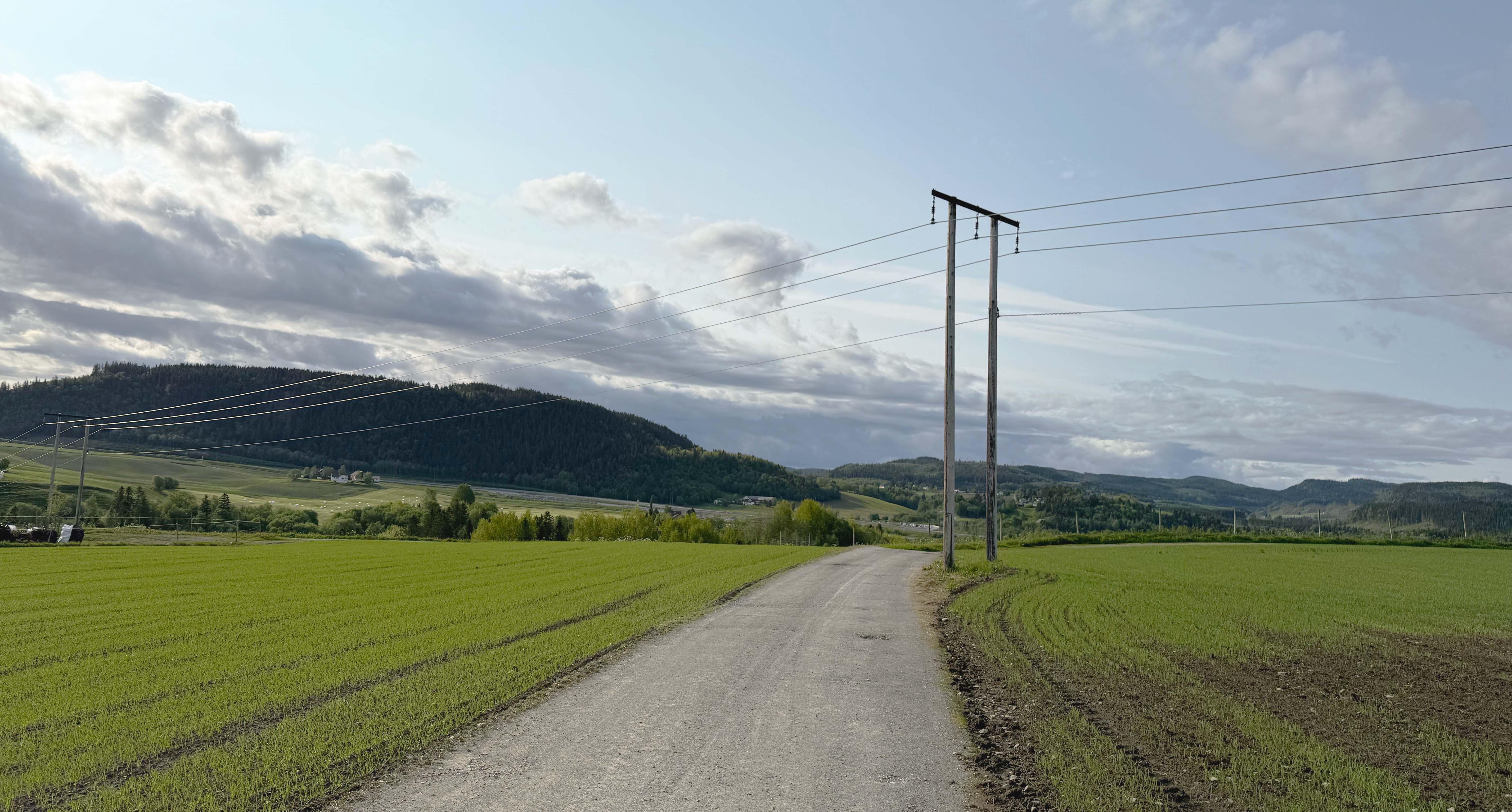 Bilde av en strømlinje i trøndersk natur