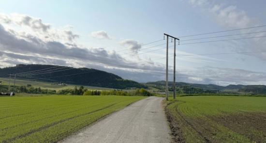 Bilde av en strømlinje i trøndersk natur