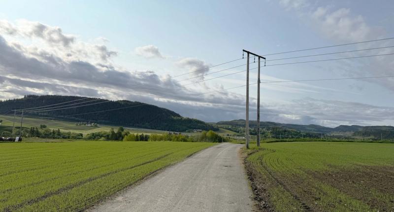 Bilde av en strømlinje i trøndersk natur