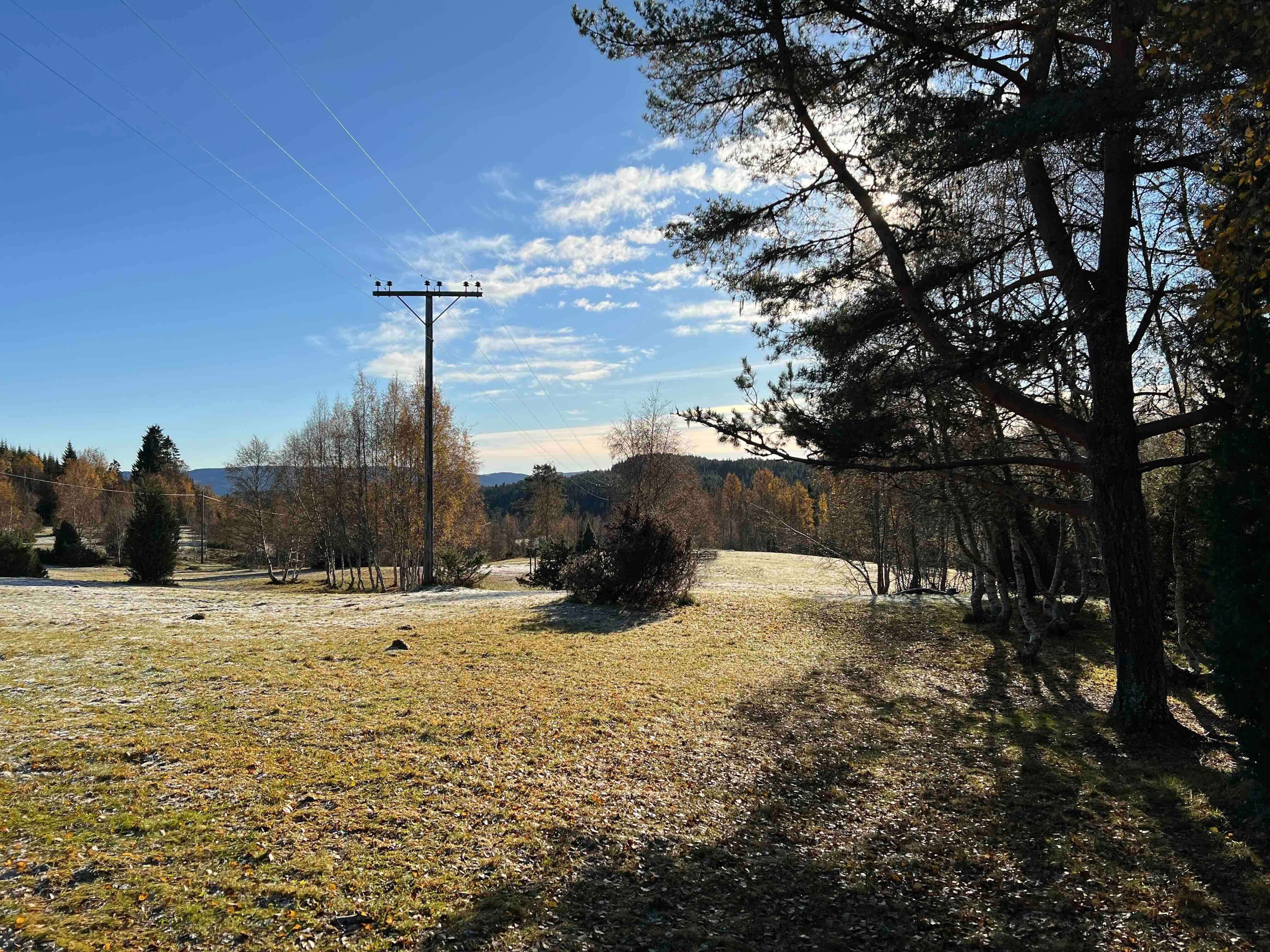 Bilde av en strømlinje i trøndersk natur