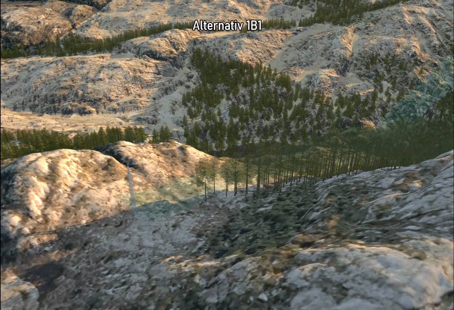 Alternativ 1B1 luftfoto